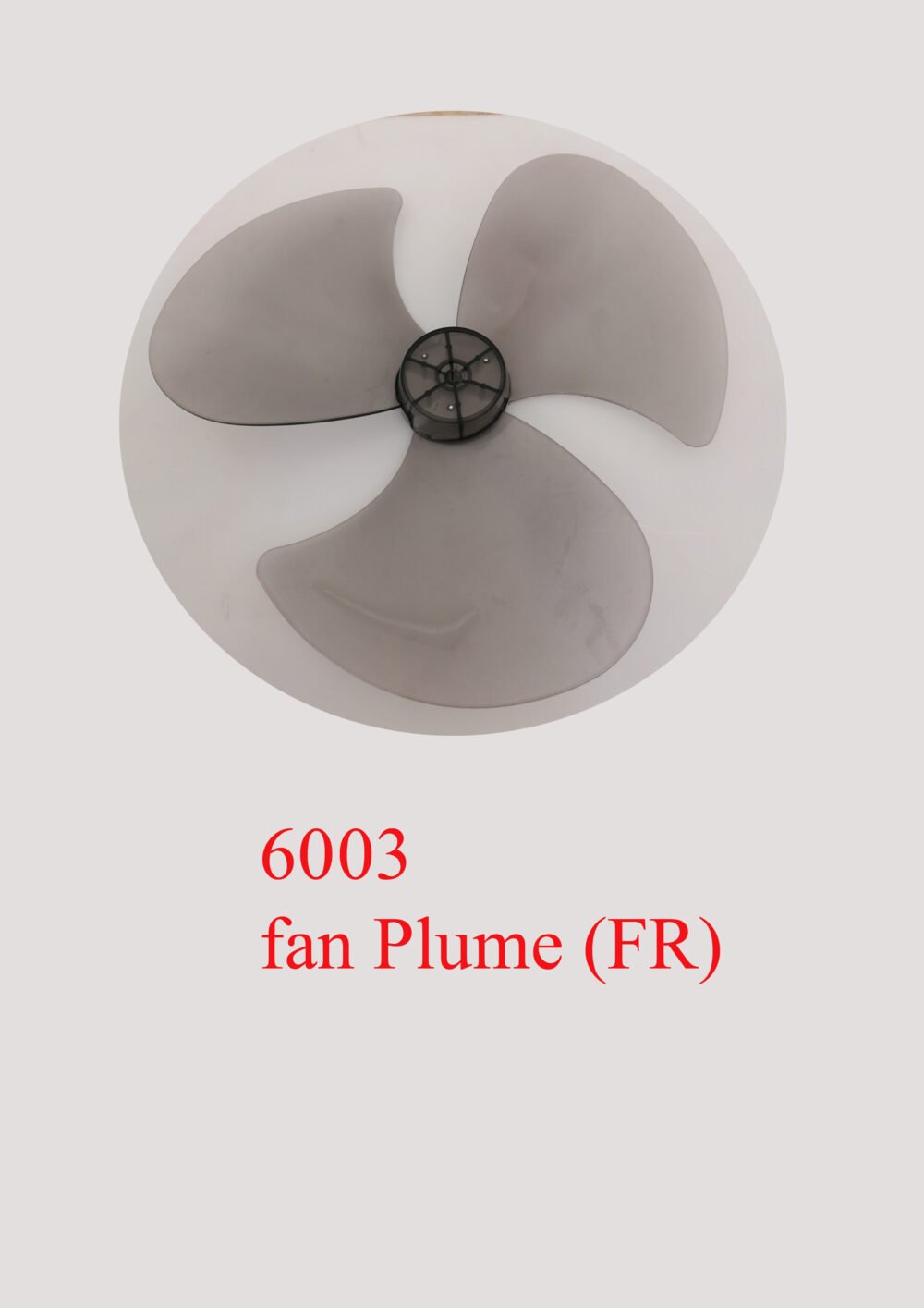 6003 fan Plume (FR)