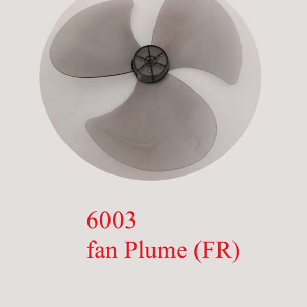 6003 fan Plume (FR)