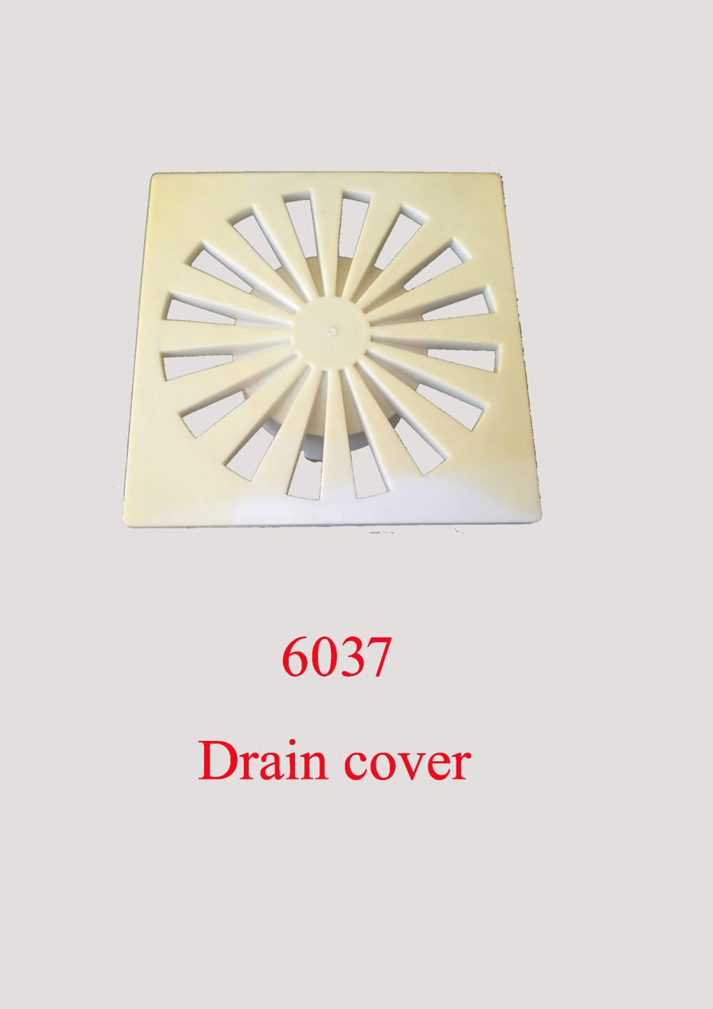 6037 Drain cover