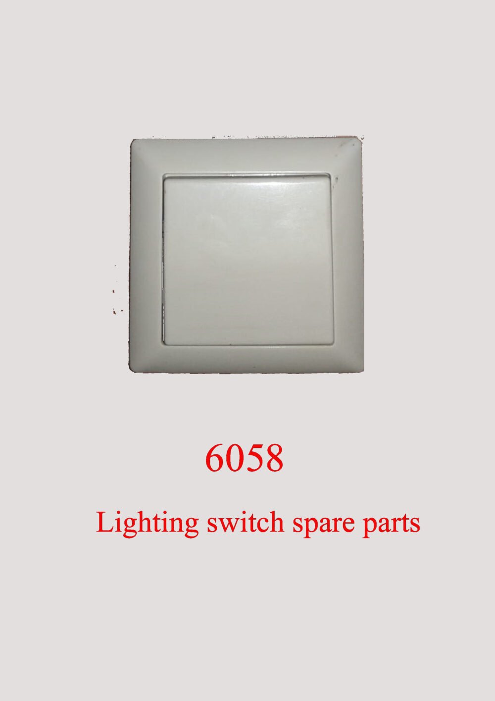 6058 Lighting switch spare parts