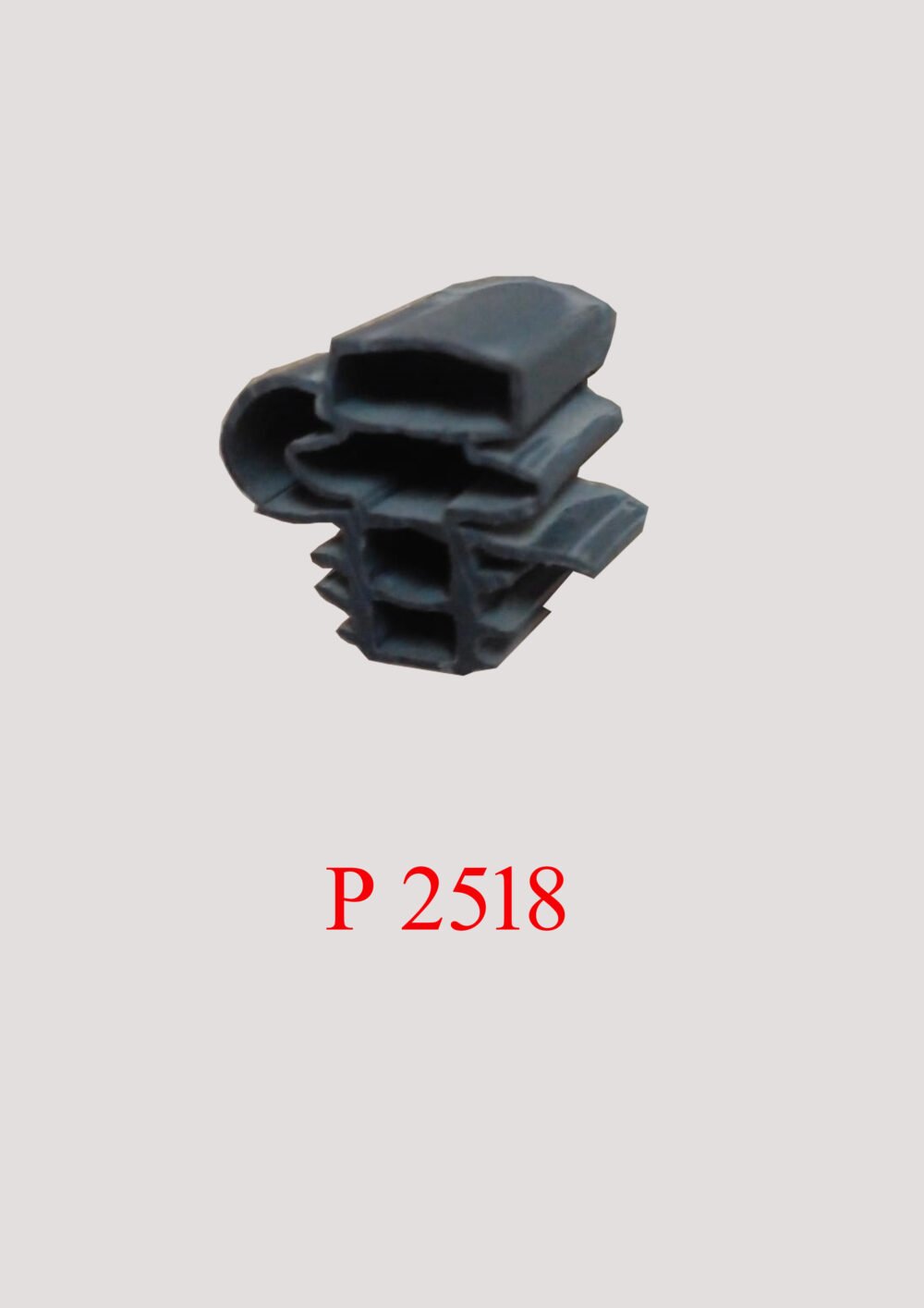 P 2518