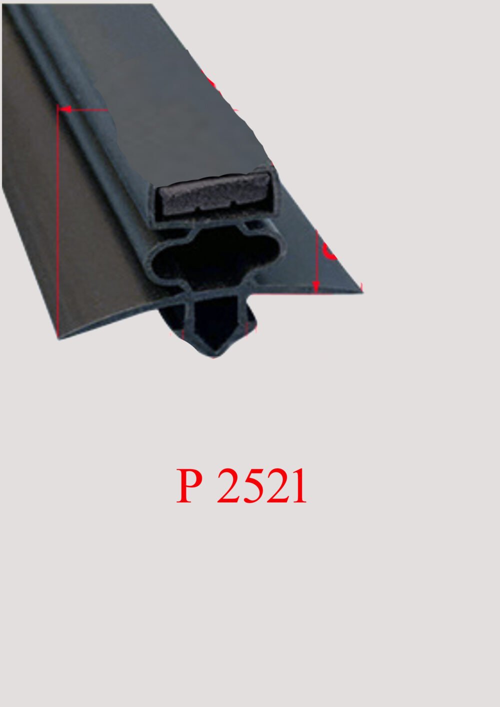 P 2521