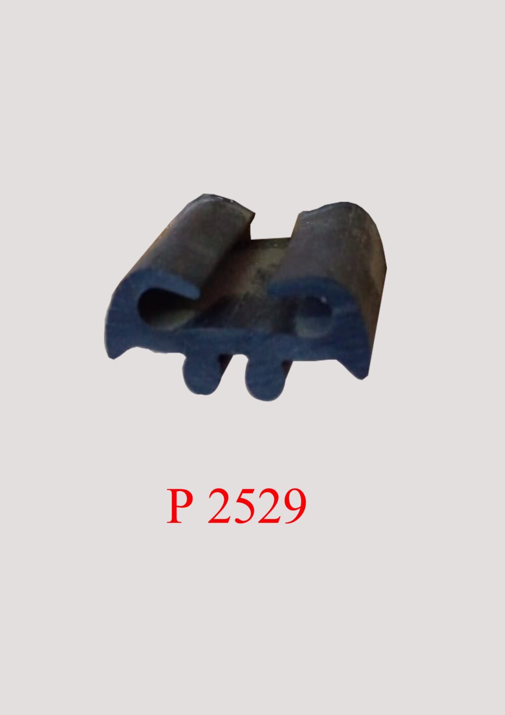 P 2529